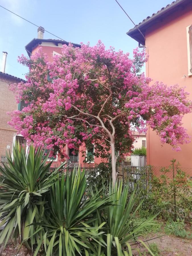 Grigio Perla Panigale, Villetta Con Giardino E Parcheggio Privato Fino A Tre Posti Auto - Un Oasi Di Tranqullita Болоня Екстериор снимка